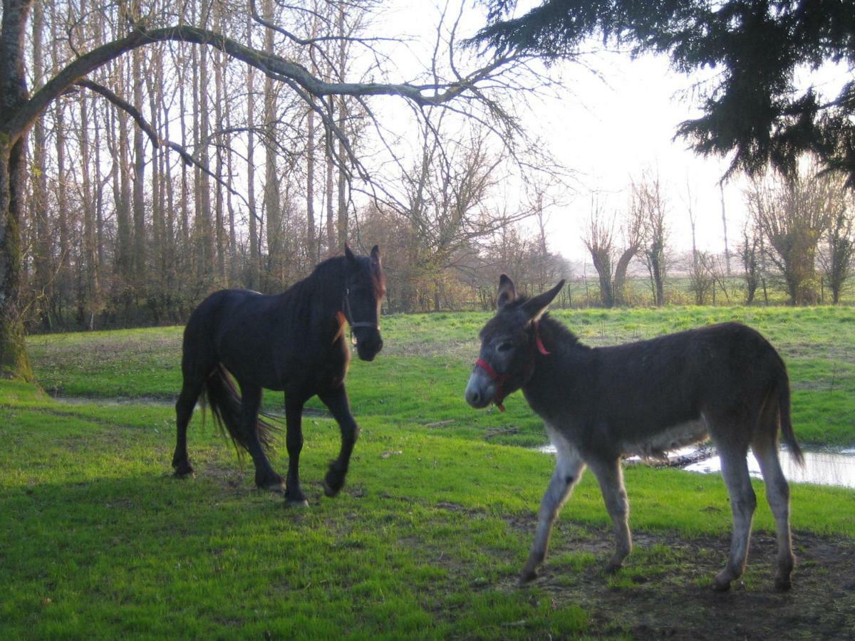 Вилла La Ferme De Tigny Экстерьер фото