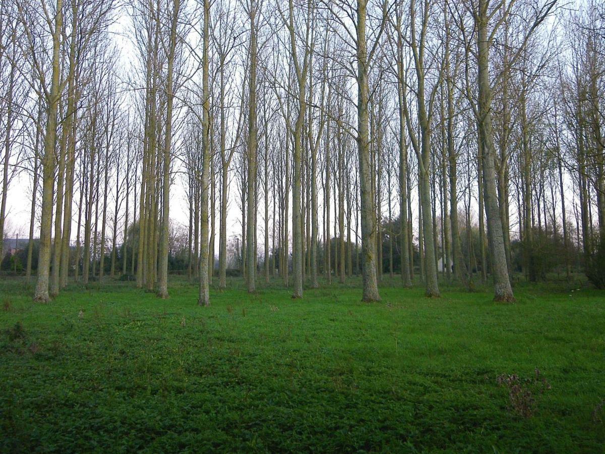 Вилла La Ferme De Tigny Экстерьер фото