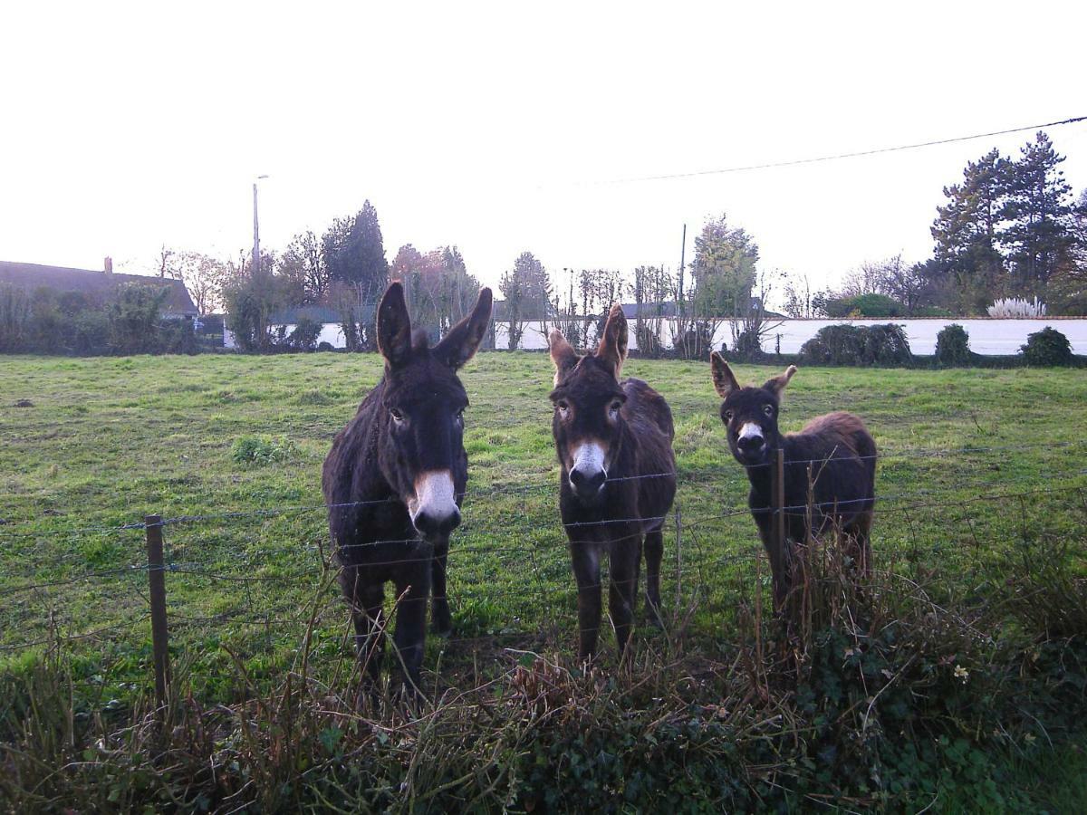 Вилла La Ferme De Tigny Экстерьер фото
