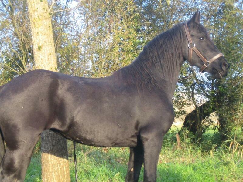 Вилла La Ferme De Tigny Экстерьер фото