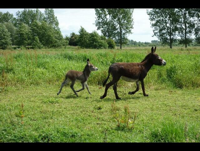 Вилла La Ferme De Tigny Экстерьер фото